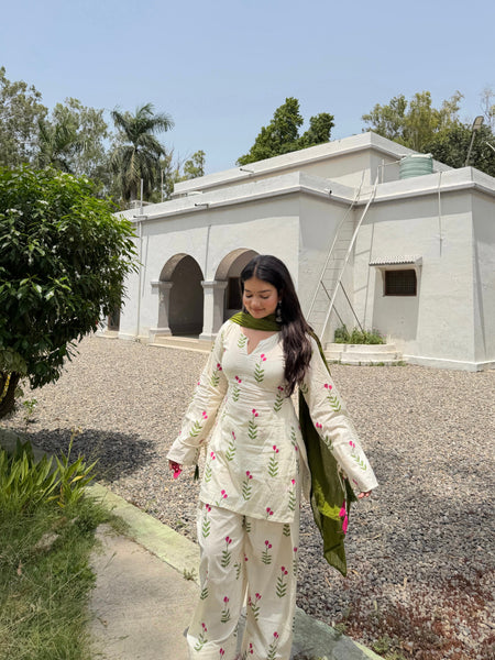Noor Bagh Farsi Set