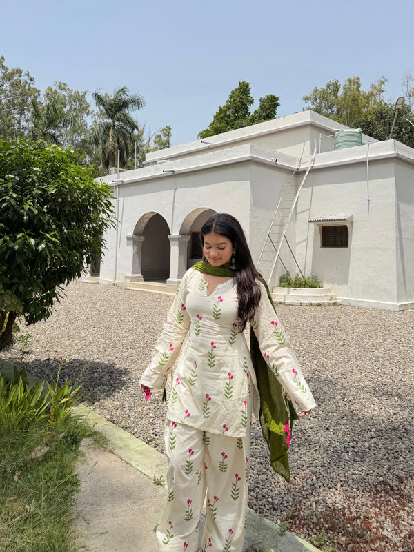 Noor Bagh Farsi Set