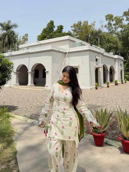 Noor Bagh Farsi Set